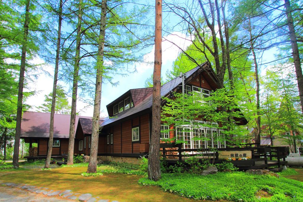 Pension Ringo-No Ki Hakuba Exterior photo