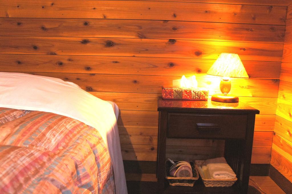 Pension Ringo-No Ki Hakuba Room photo